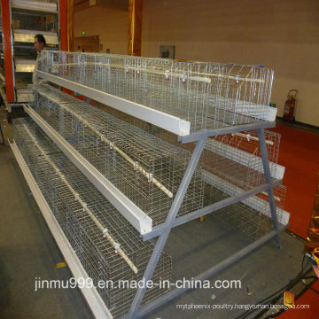 Poultry Feed Manufacturers H Type Layer Chicken Cage Farm Equipment for Chicken House